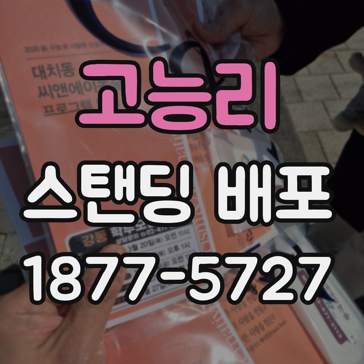 고능리 스탠딩 배포