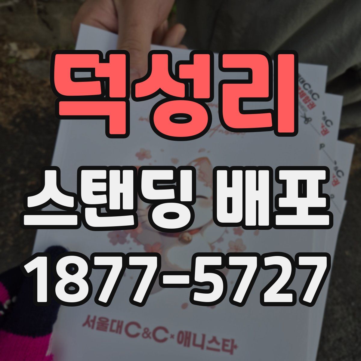 덕성리 스탠딩 배포