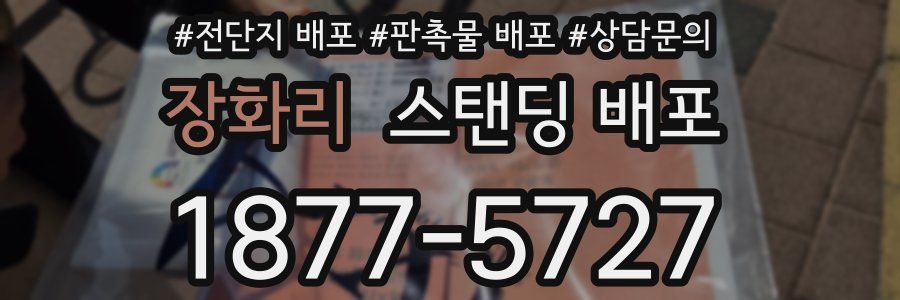 장화리 스탠딩 배포
