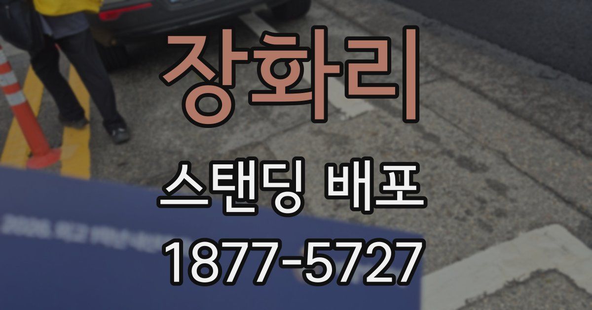 장화리 스탠딩 배포