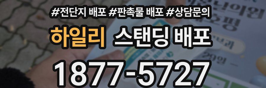 하일리 스탠딩 배포