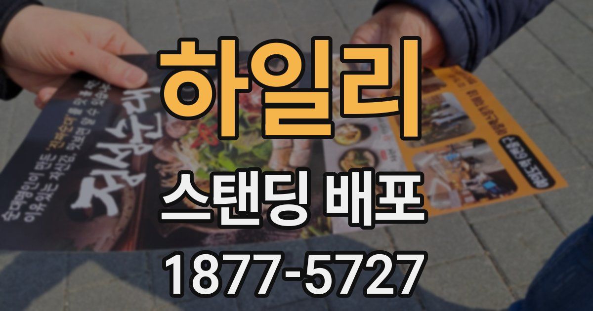 하일리 스탠딩 배포