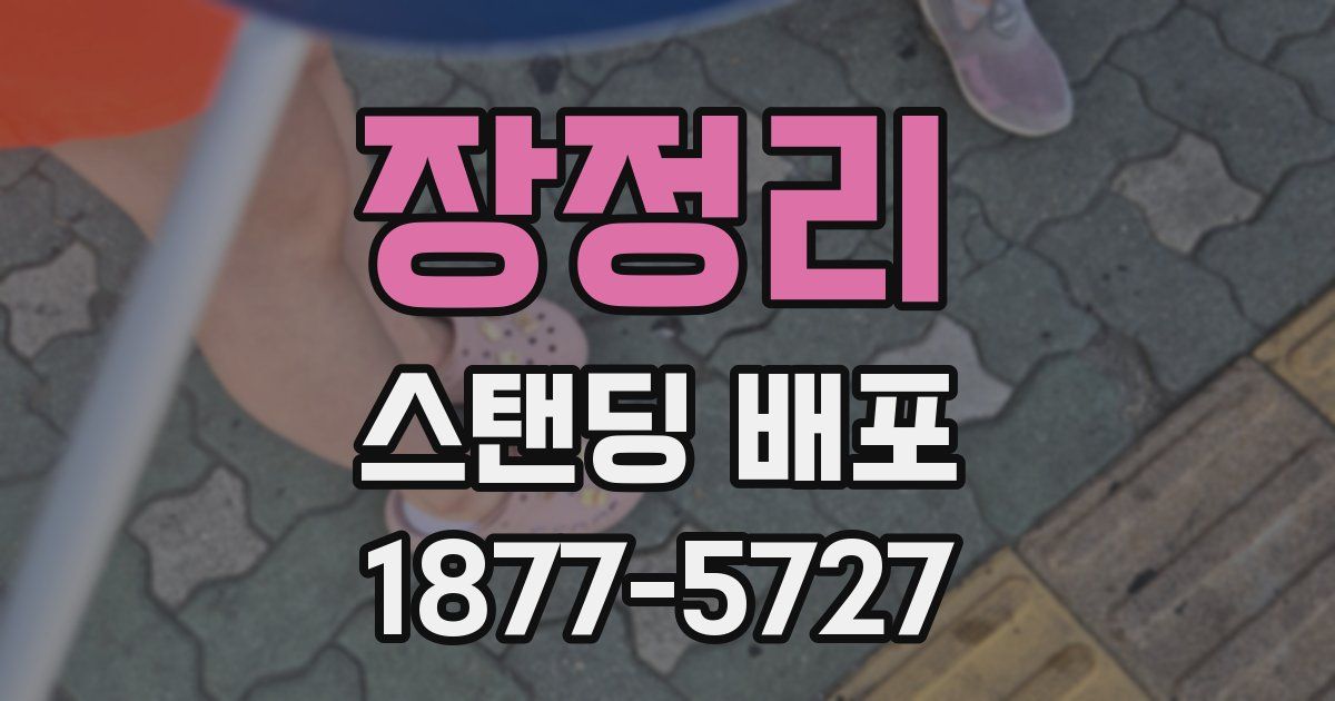 장정리 스탠딩 배포