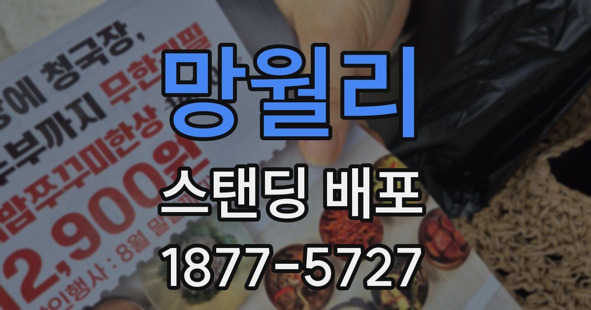 망월리 스탠딩 배포