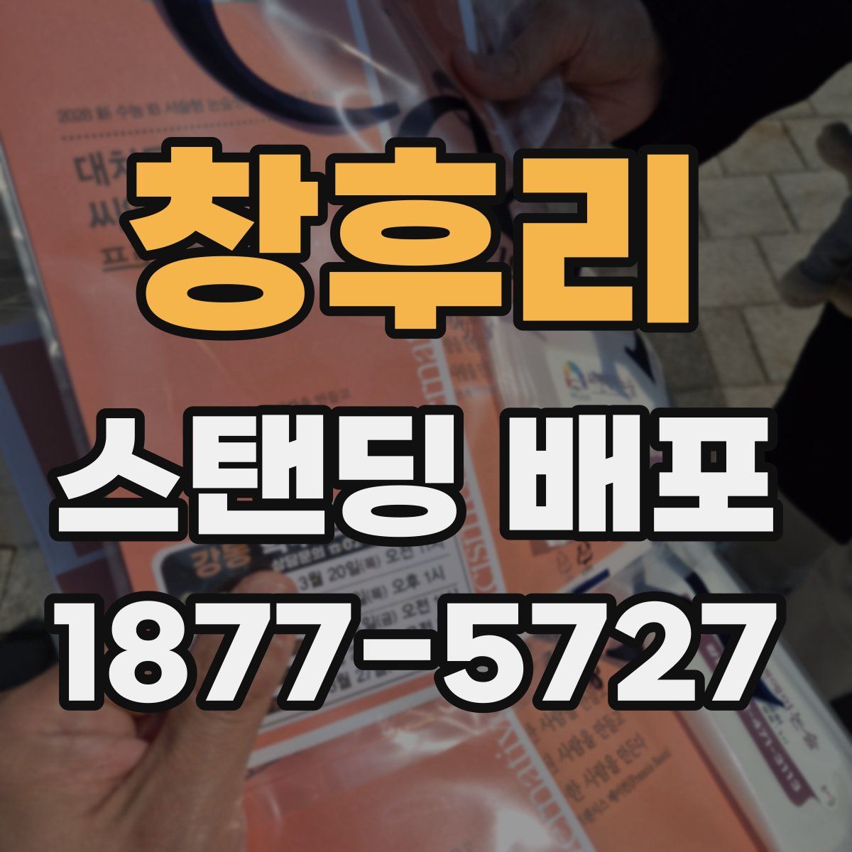 창후리 스탠딩 배포