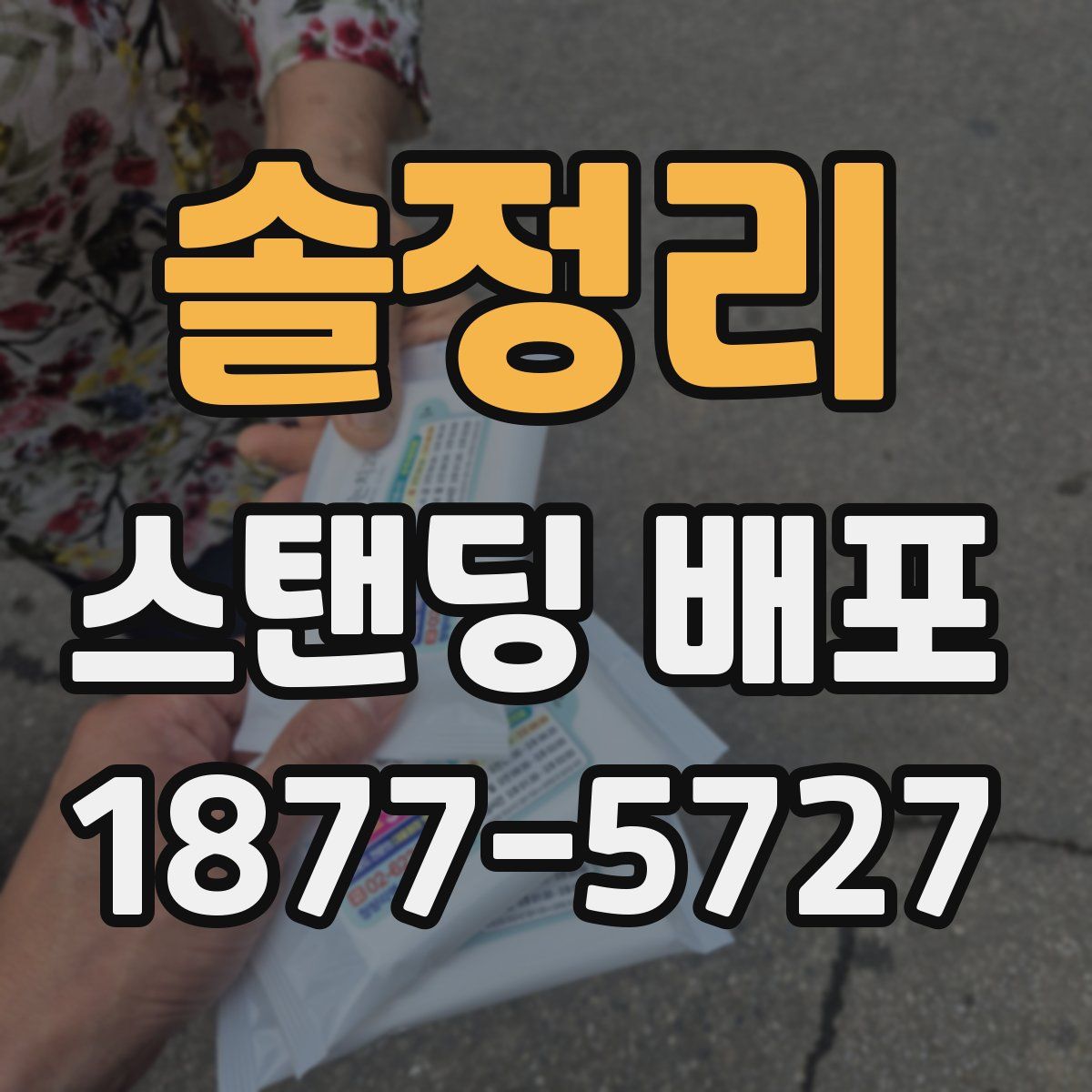 솔정리 스탠딩 배포