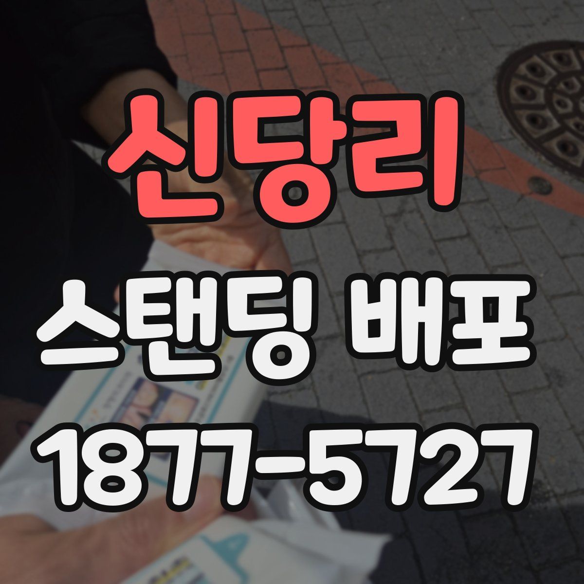 신당리 스탠딩 배포