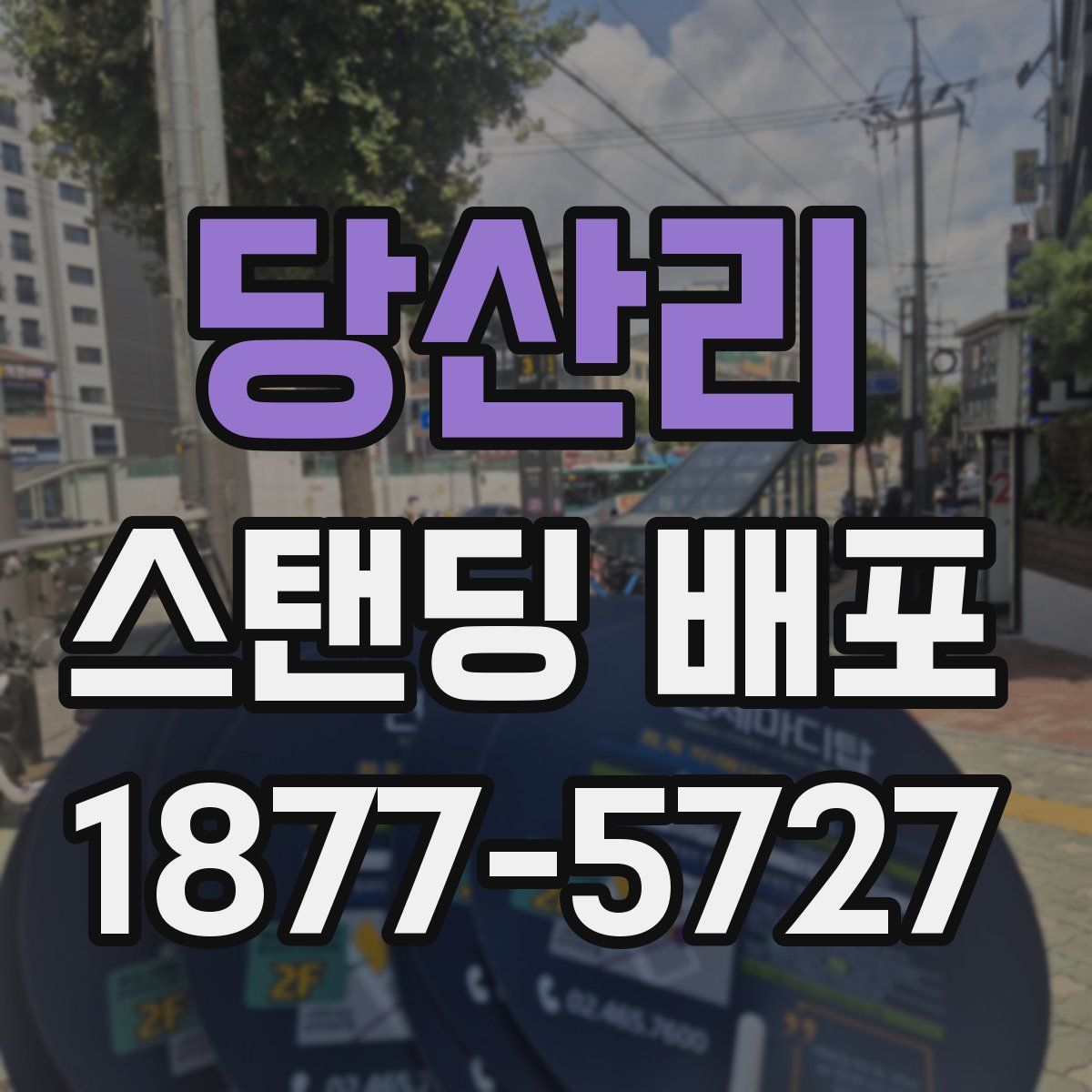 당산리 스탠딩 배포