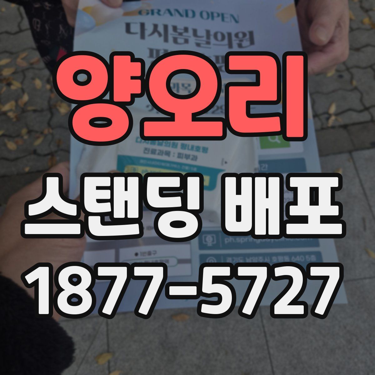 양오리 스탠딩 배포