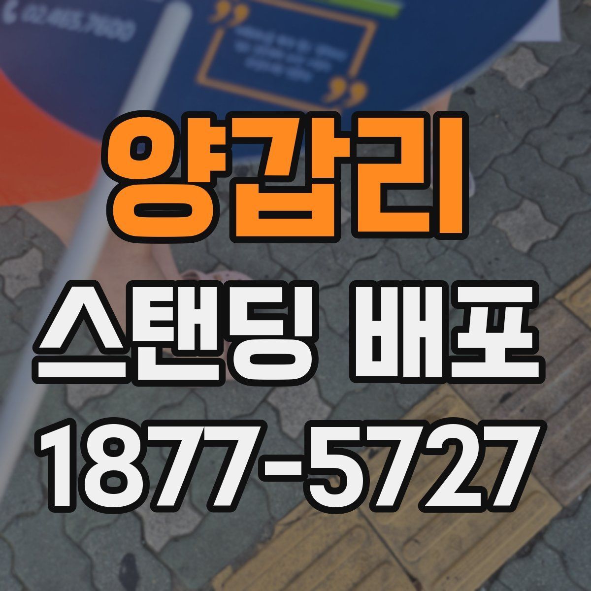 양갑리 스탠딩 배포