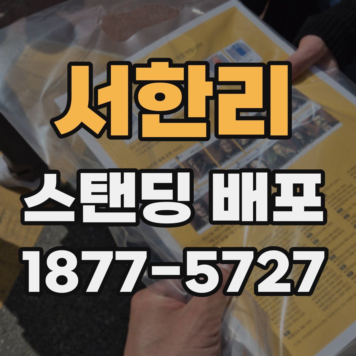 서한리 스탠딩 배포