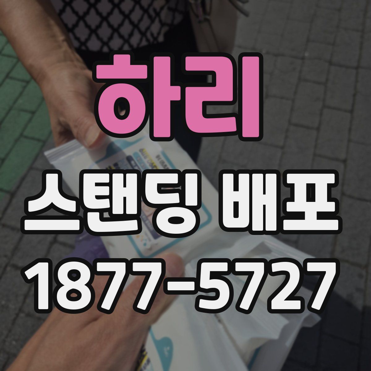 하리 스탠딩 배포
