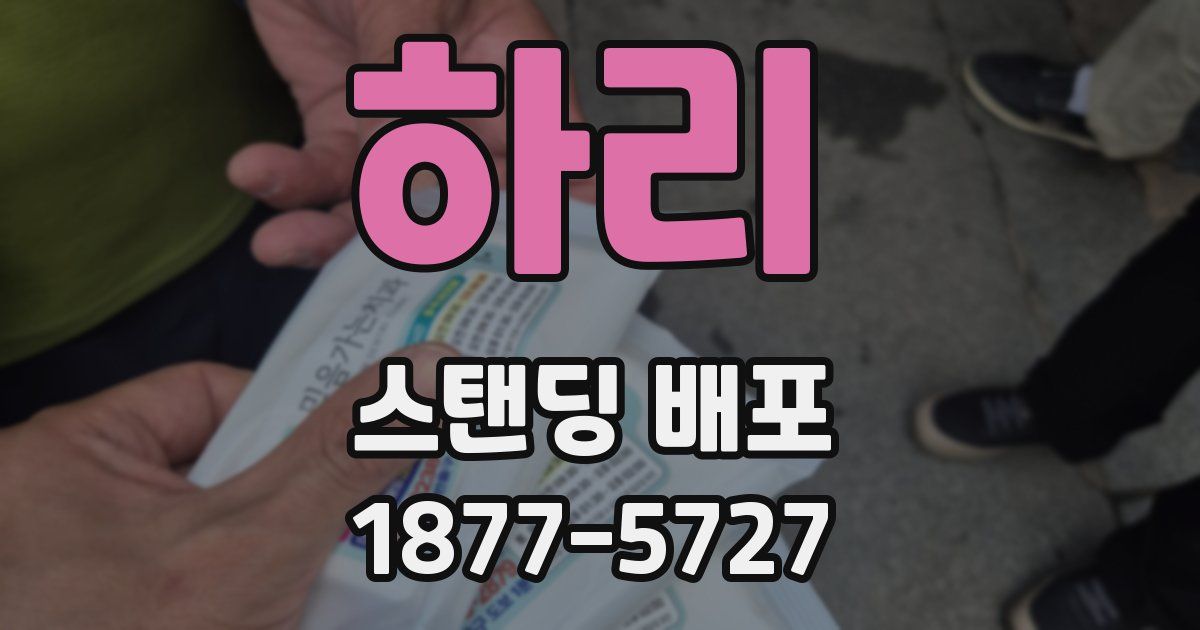 하리 스탠딩 배포