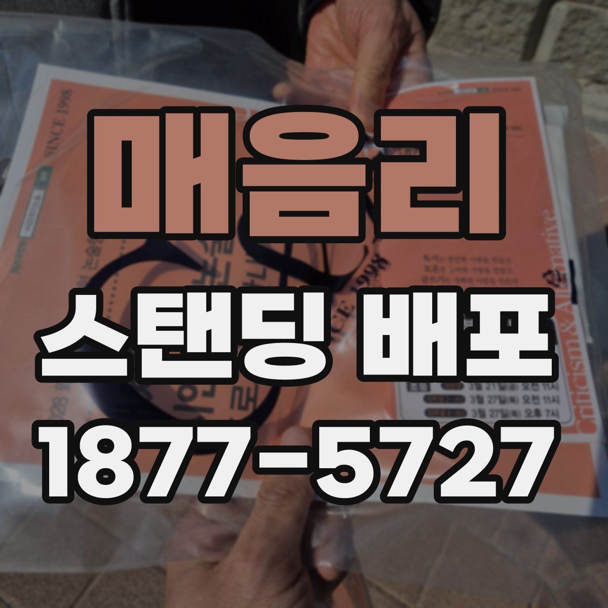 매음리 스탠딩 배포