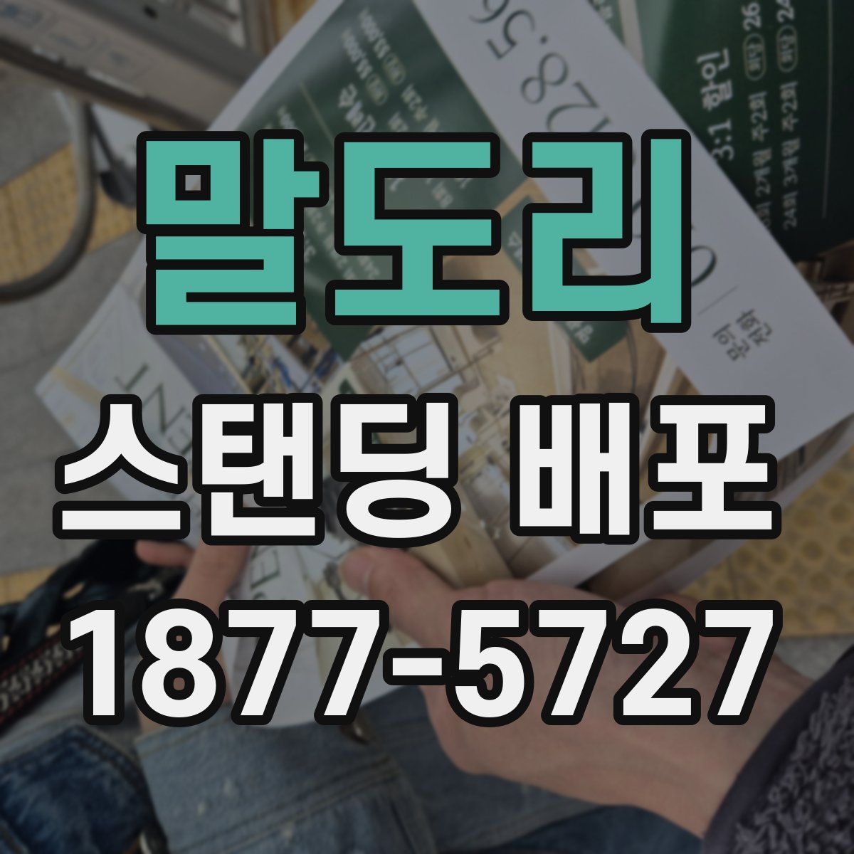 말도리 스탠딩 배포