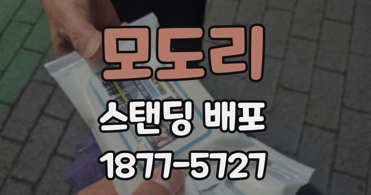 모도리 스탠딩 배포