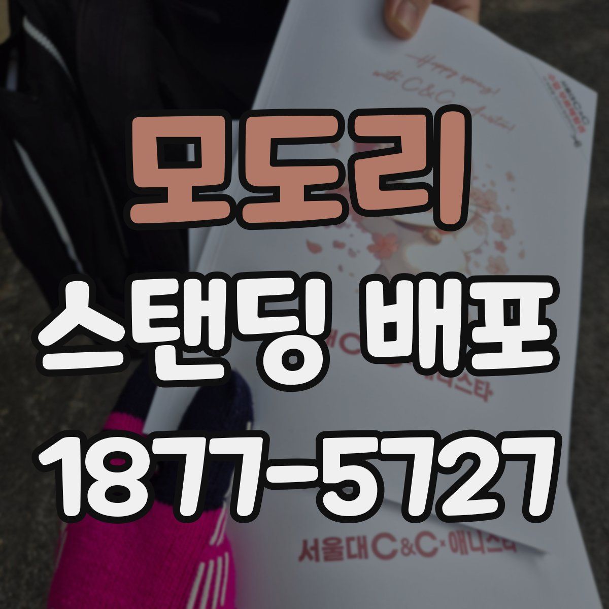 모도리 스탠딩 배포