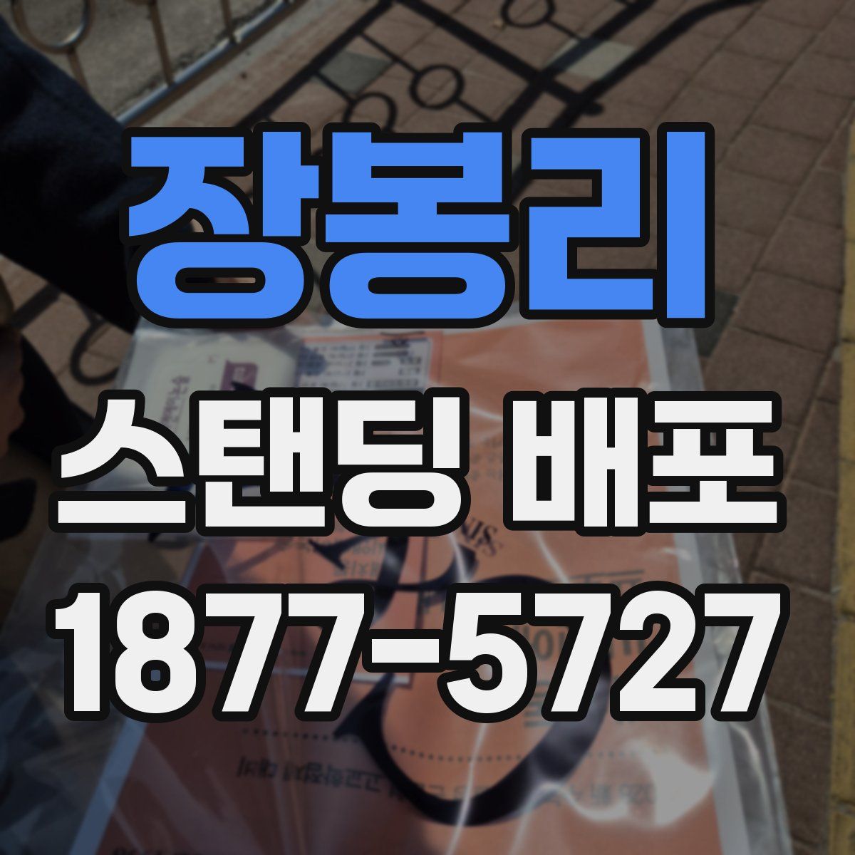 장봉리 스탠딩 배포