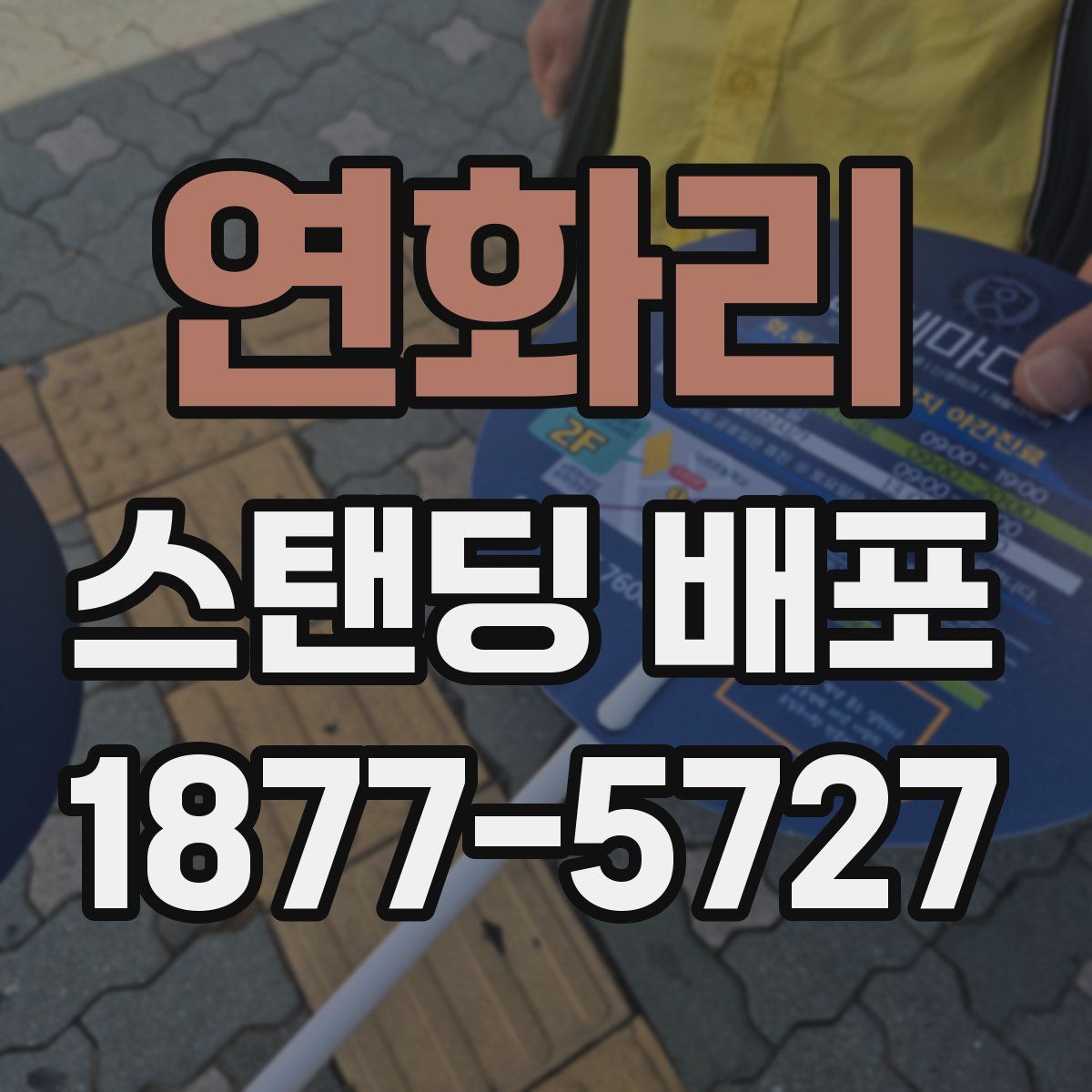 연화리 스탠딩 배포