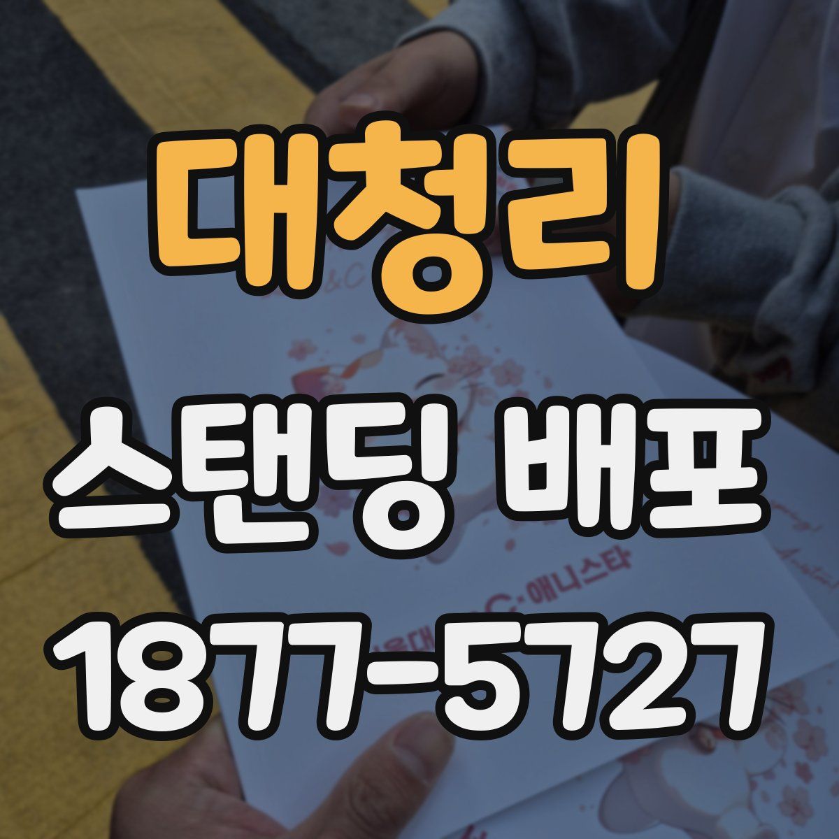 대청리 스탠딩 배포