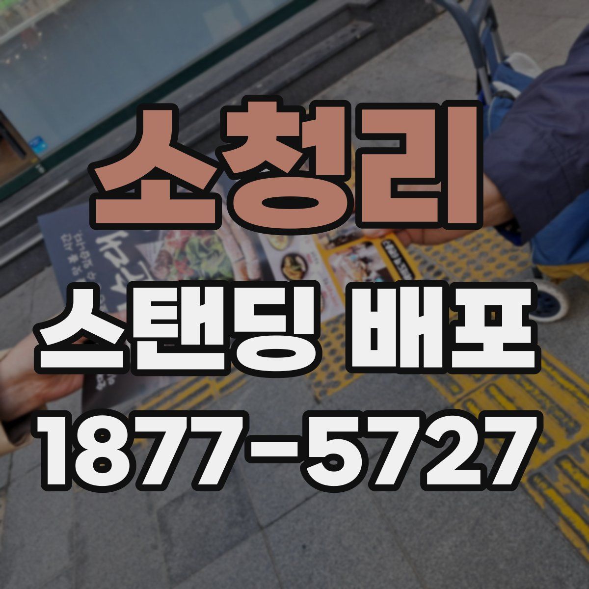 소청리 스탠딩 배포
