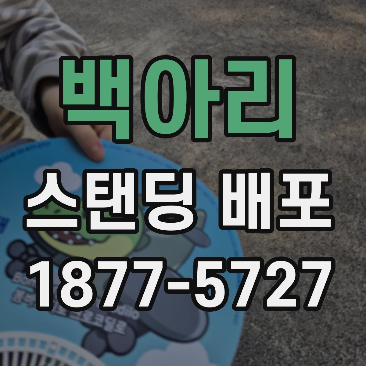 백아리 스탠딩 배포
