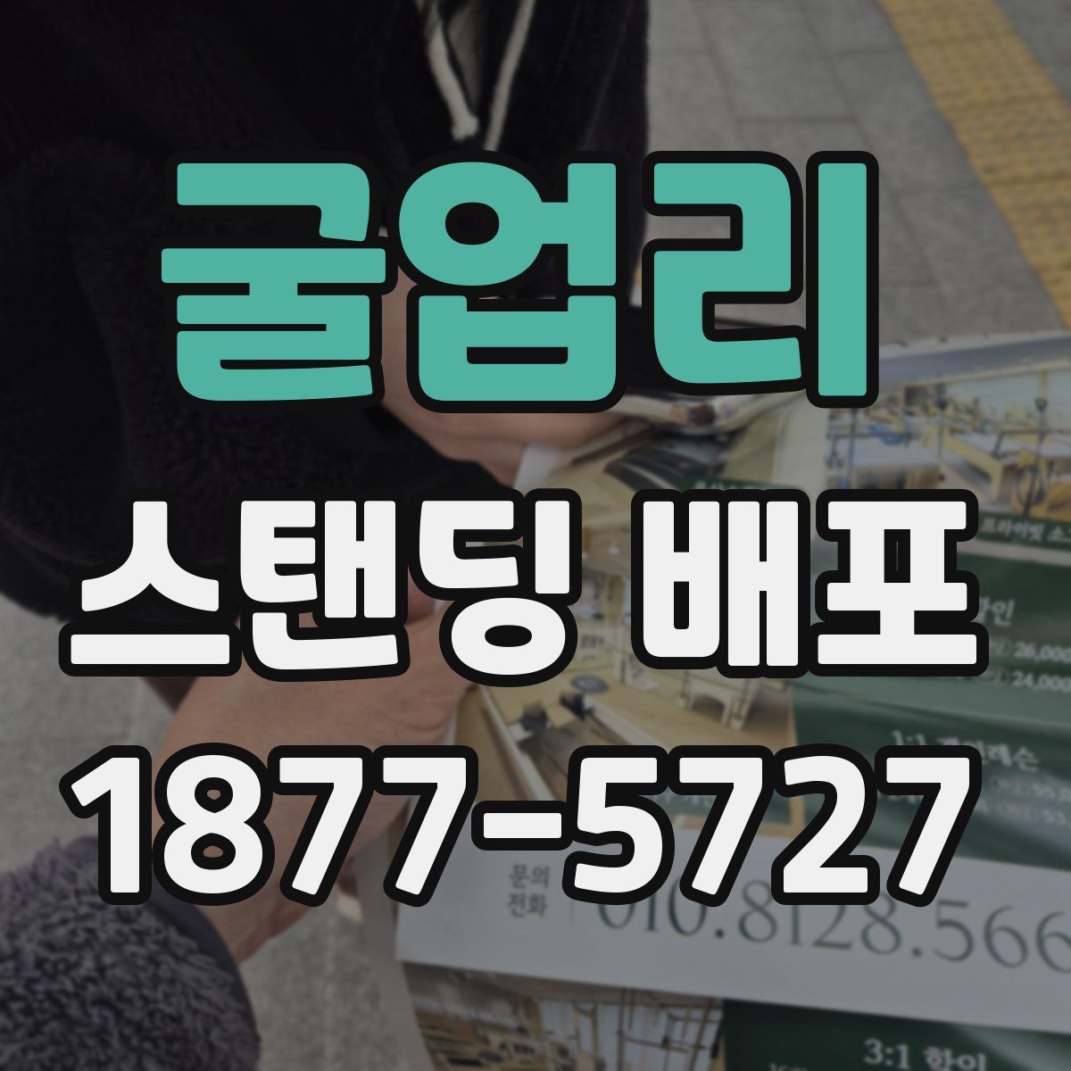 굴업리 스탠딩 배포