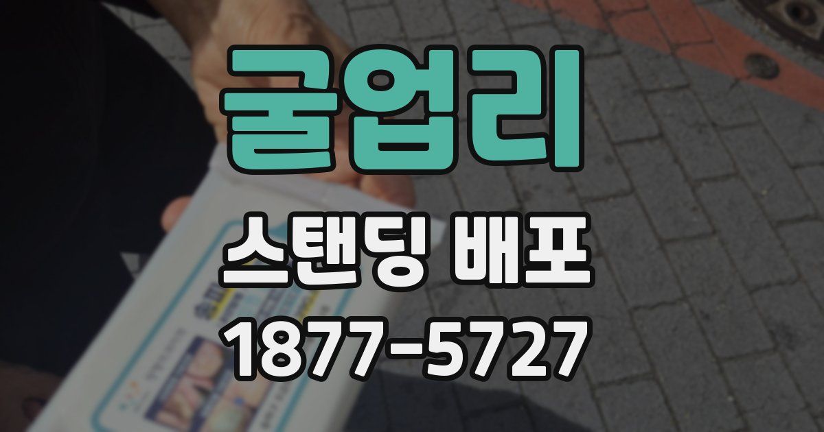 굴업리 스탠딩 배포
