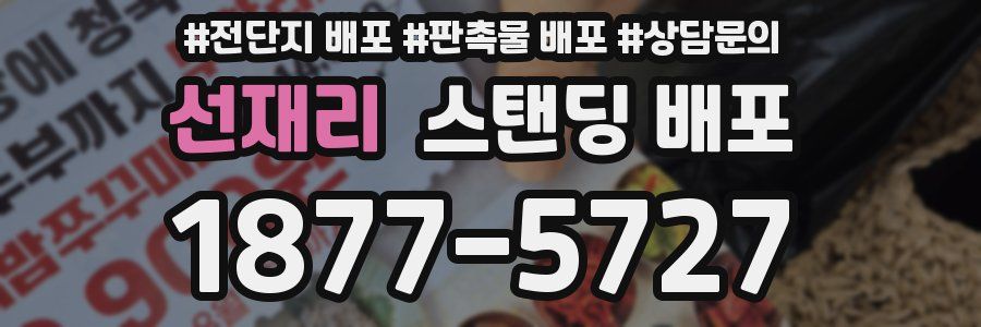선재리 스탠딩 배포