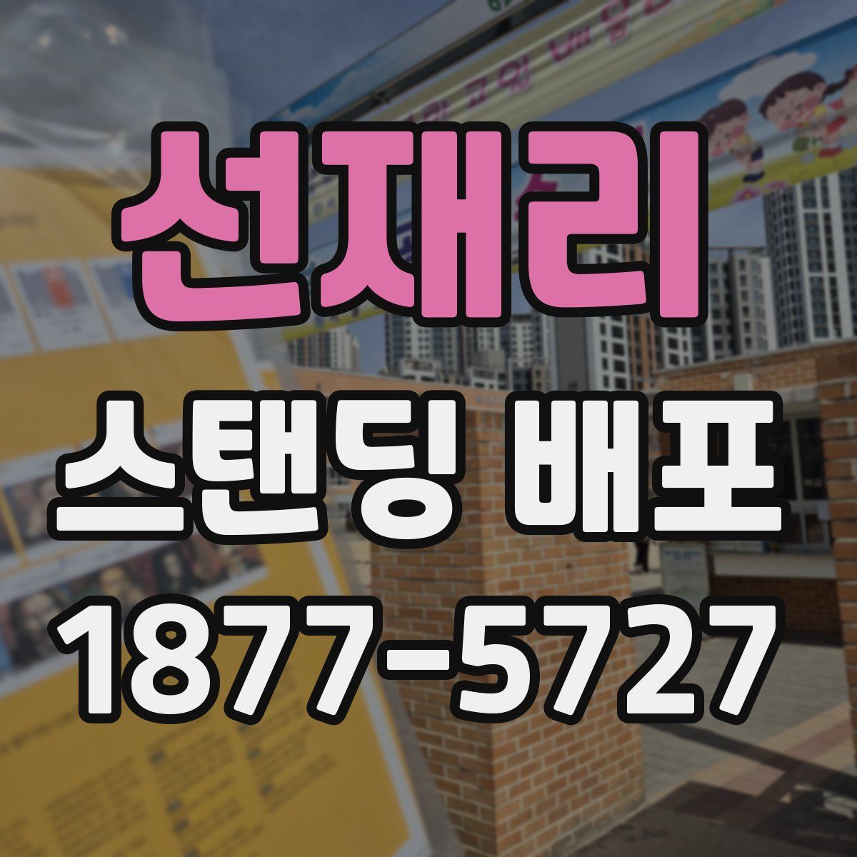 선재리 스탠딩 배포