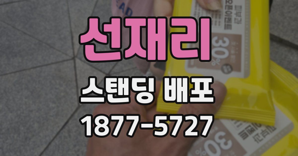 선재리 스탠딩 배포