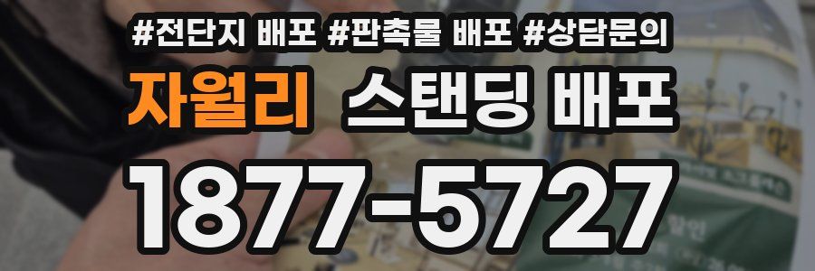 자월리 스탠딩 배포