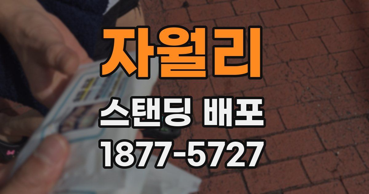 자월리 스탠딩 배포