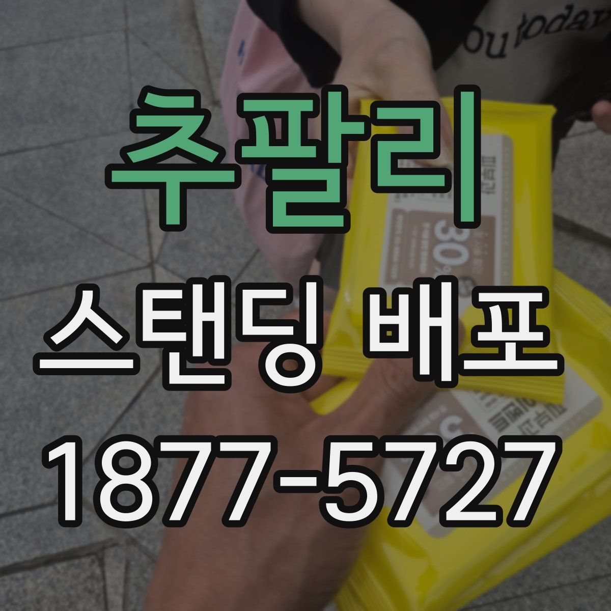 추팔리 스탠딩 배포