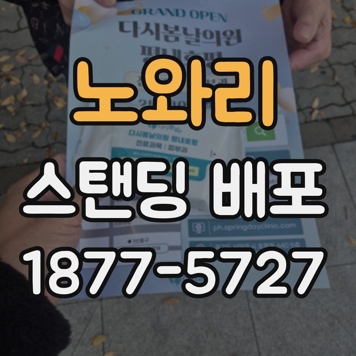 노와리 스탠딩 배포