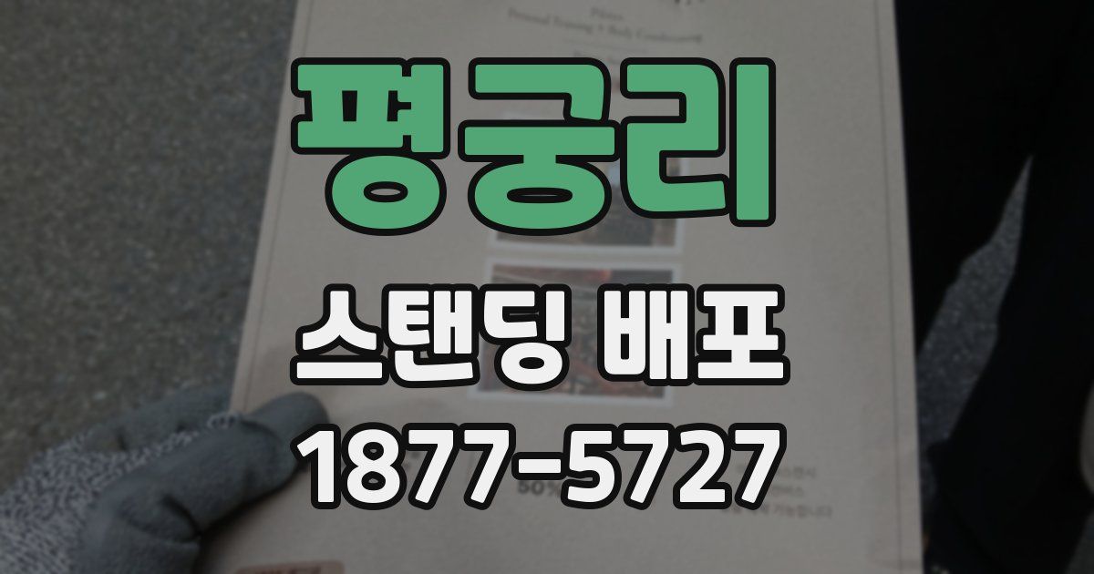 평궁리 스탠딩 배포