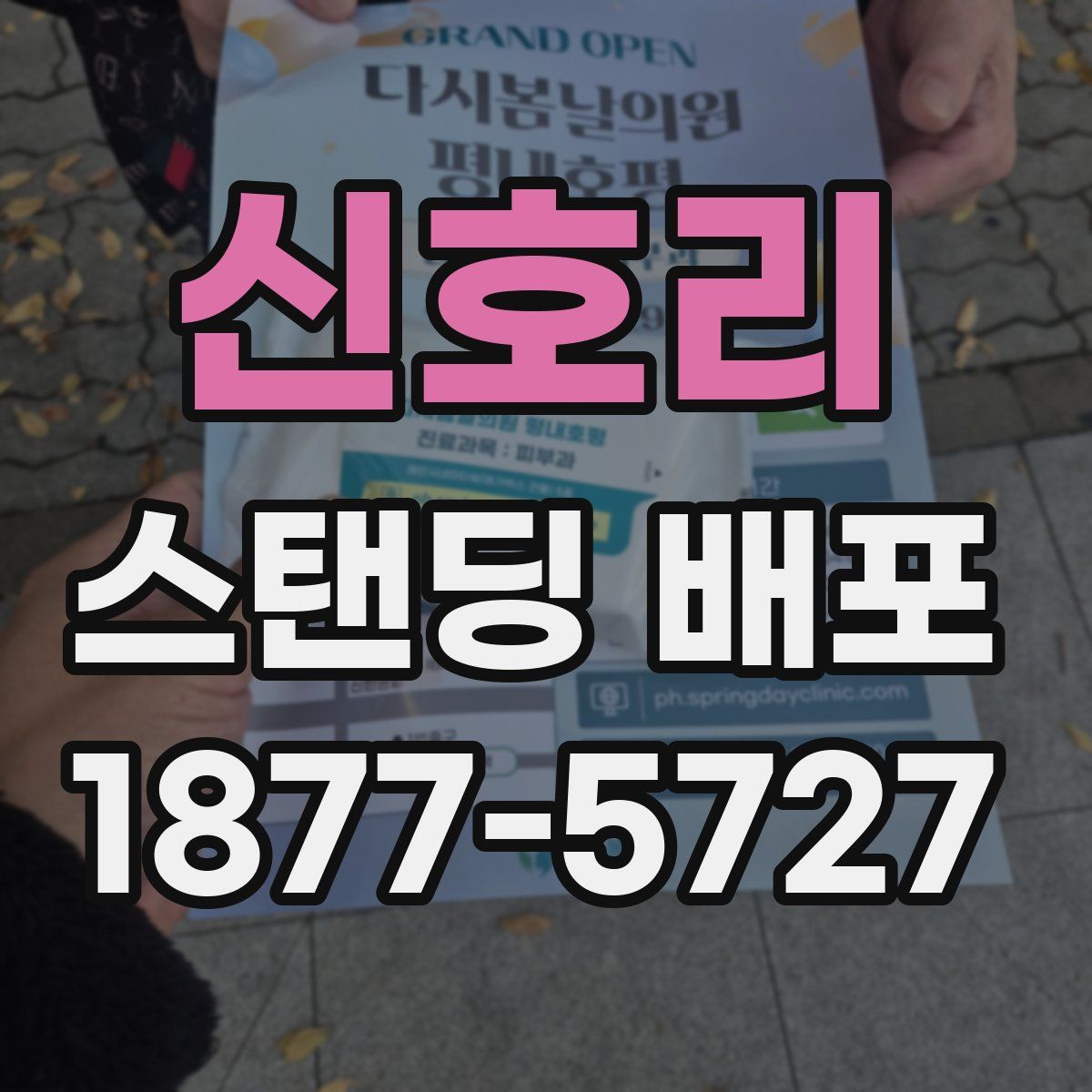 신호리 스탠딩 배포