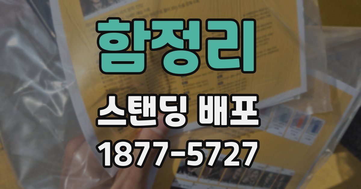 함정리 스탠딩 배포
