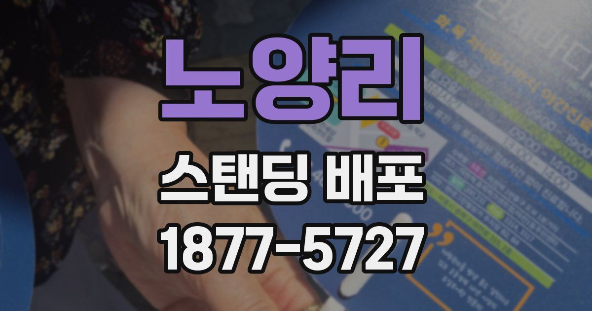 노양리 스탠딩 배포