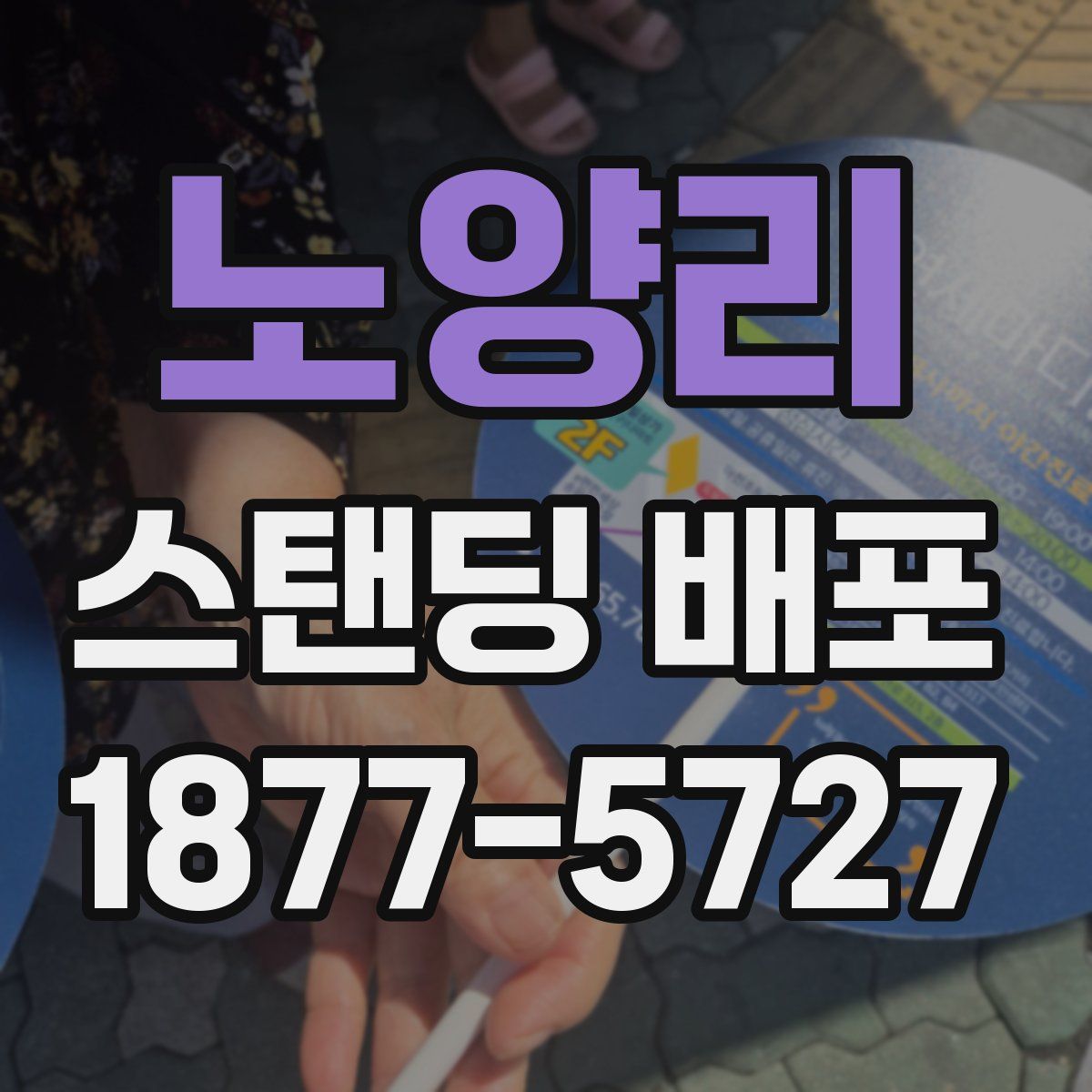 노양리 스탠딩 배포