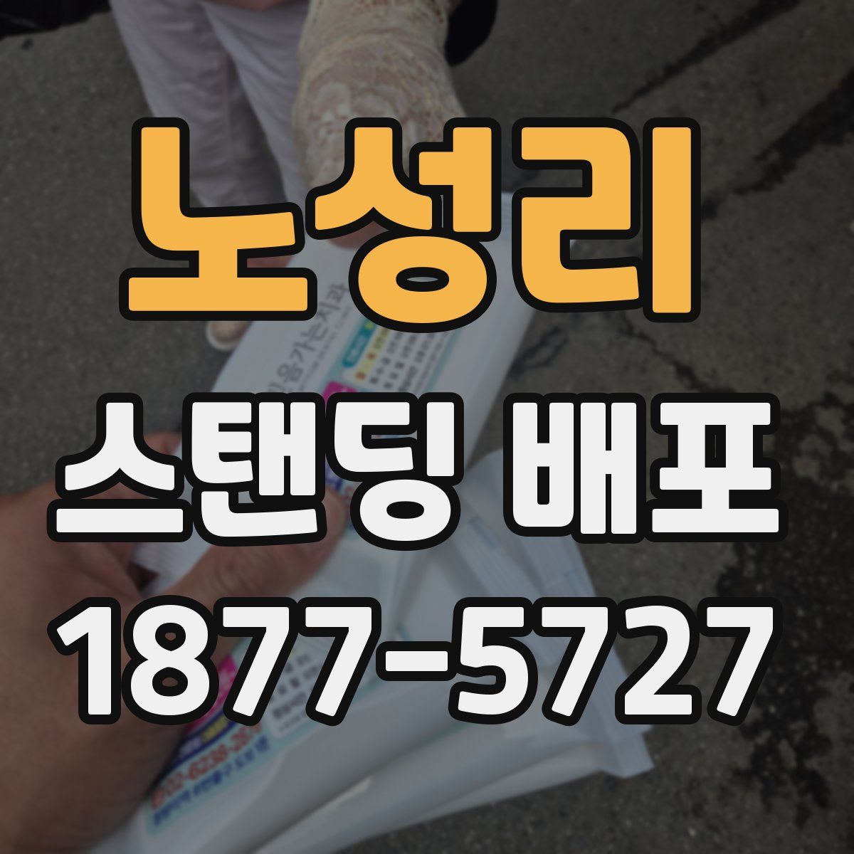 노성리 스탠딩 배포