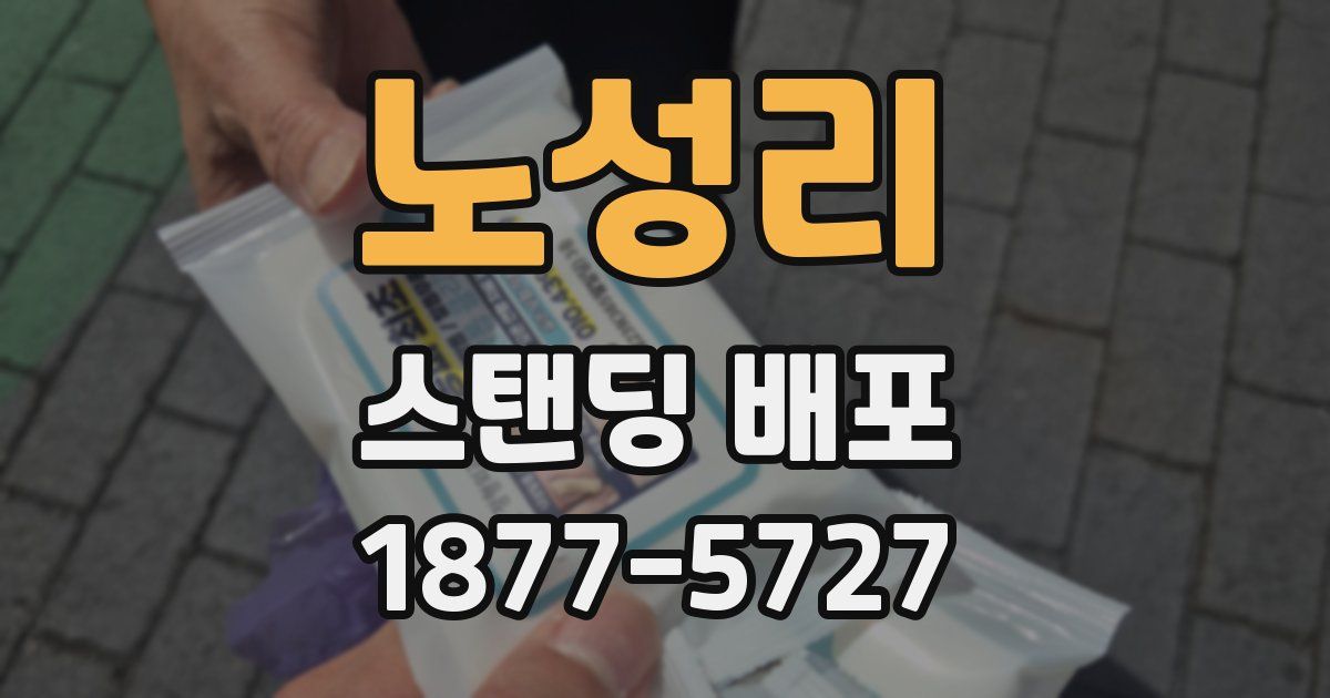노성리 스탠딩 배포
