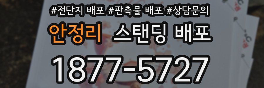 안정리 스탠딩 배포