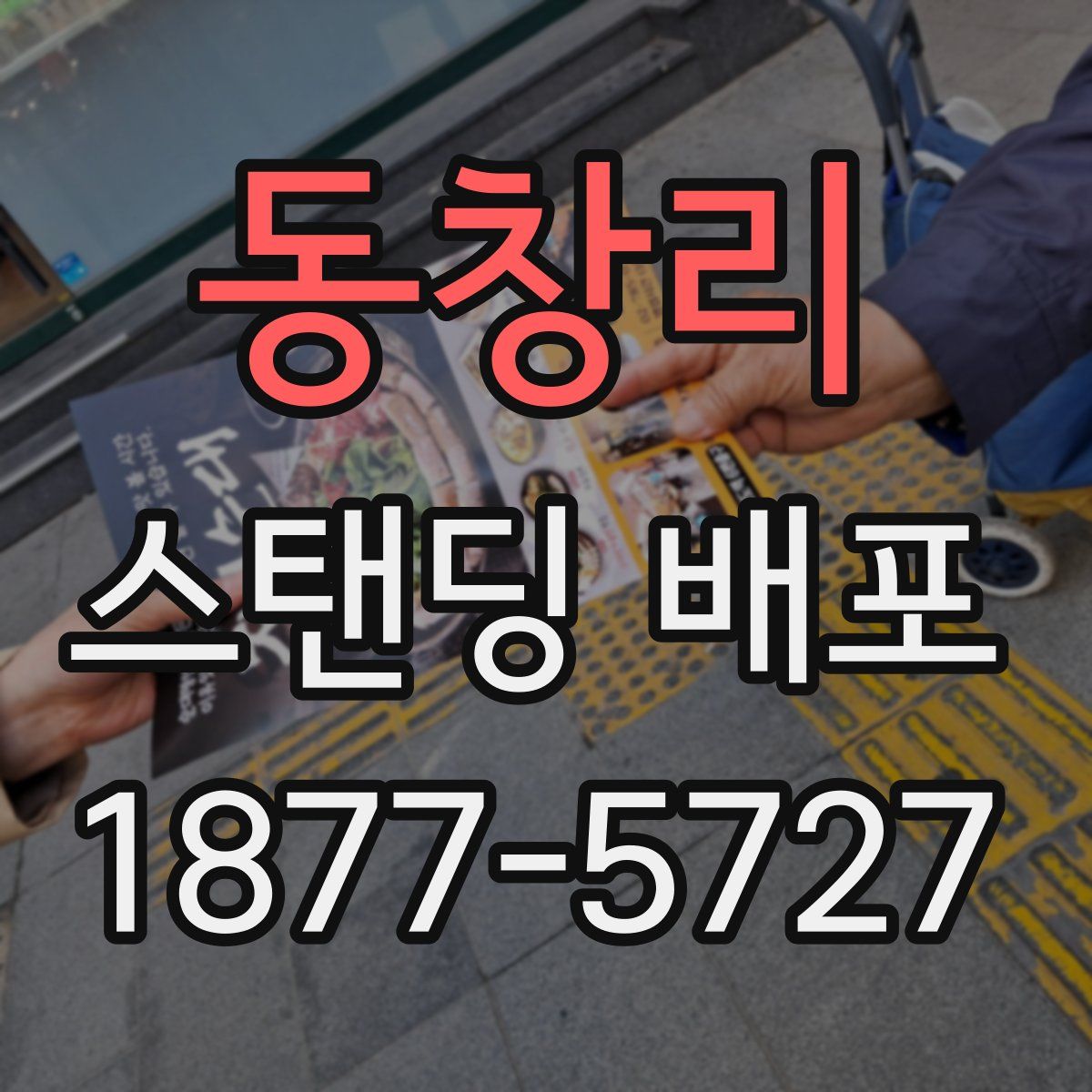 동창리 스탠딩 배포