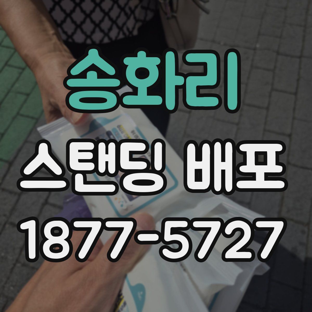 송화리 스탠딩 배포
