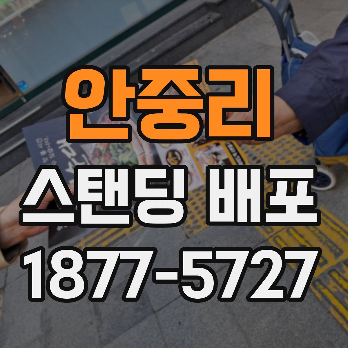 안중리 스탠딩 배포