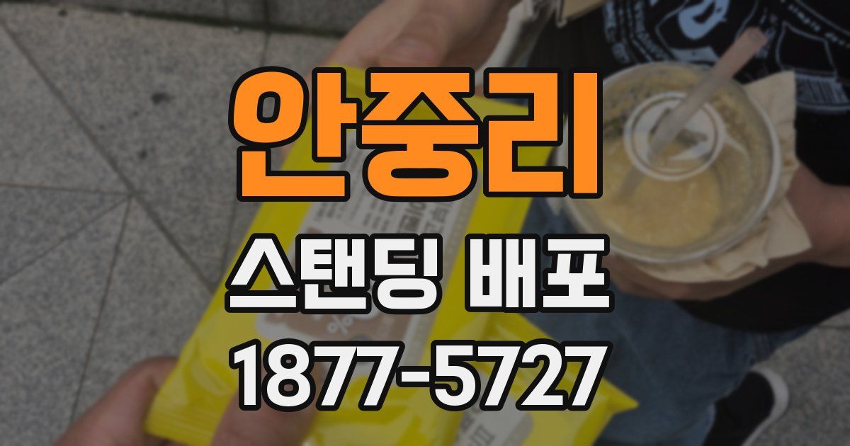 안중리 스탠딩 배포