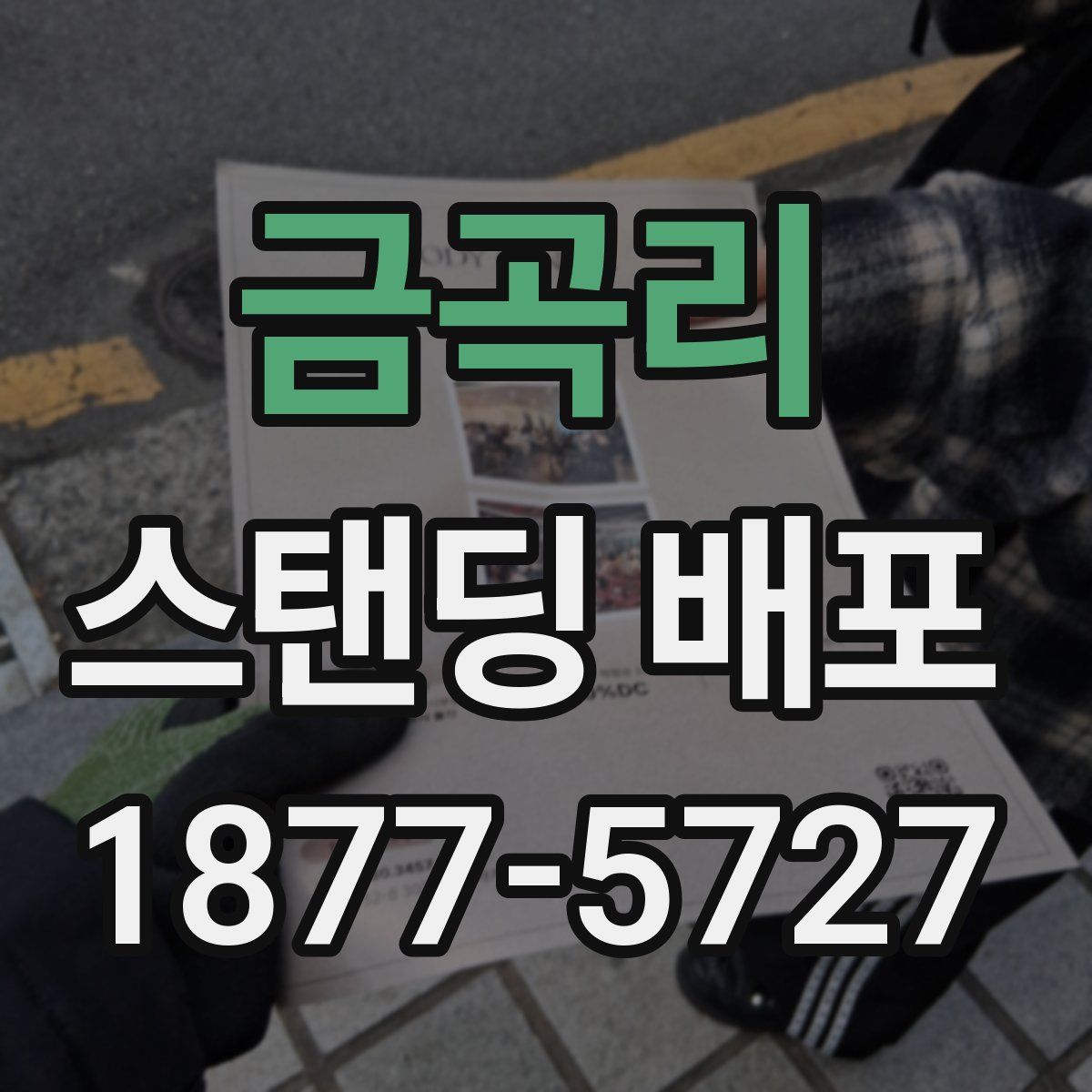 금곡리 스탠딩 배포