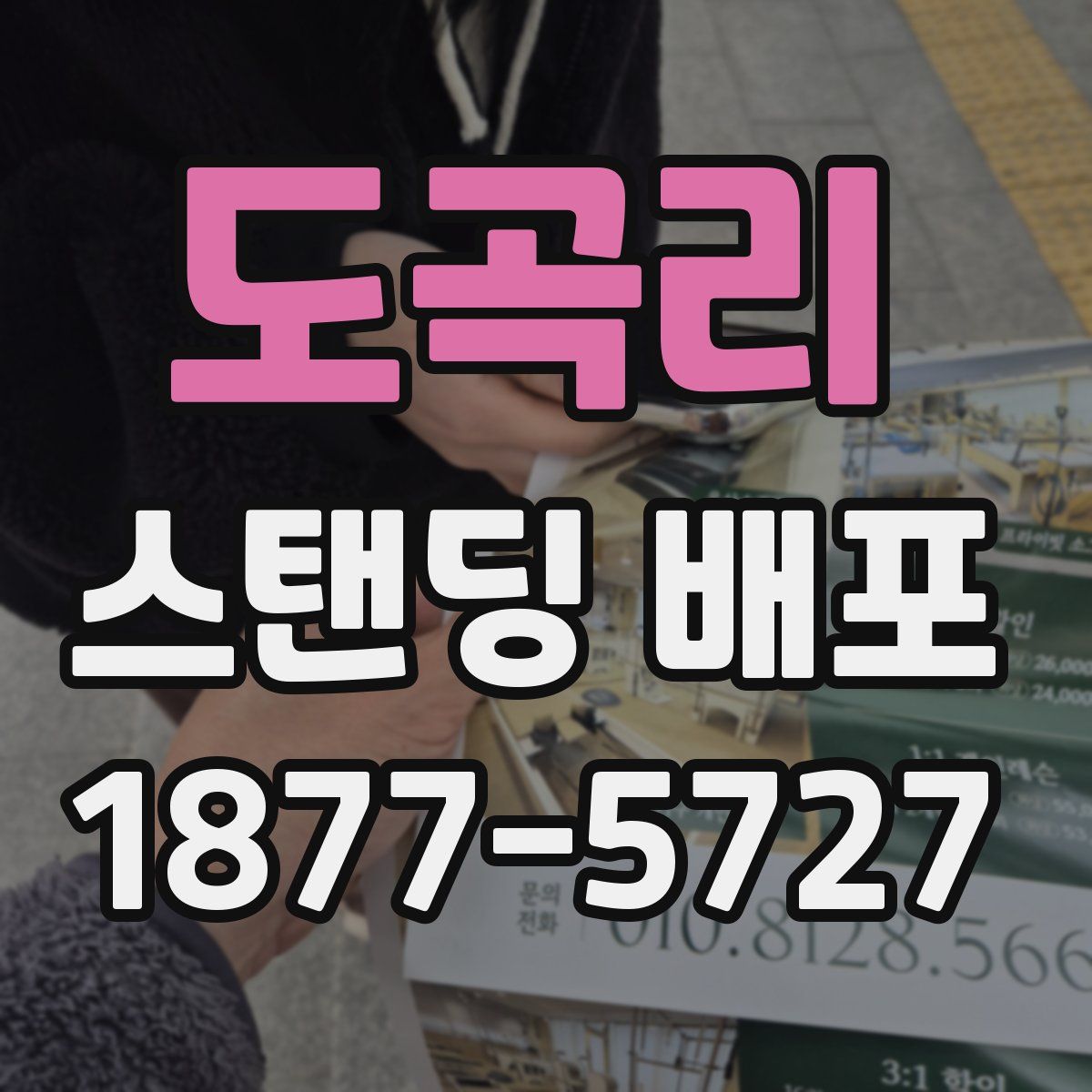 도곡리 스탠딩 배포