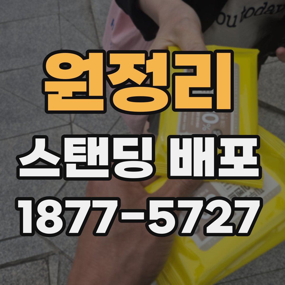 원정리 스탠딩 배포
